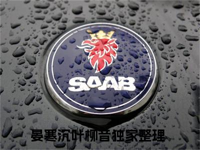 多人追的热门小说（晏寒沉叶柳音）-晏寒沉叶柳音小说最新章节免费阅读