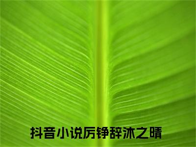 厉铮辞沐之晴（厉铮辞沐之晴）全文在线阅读免费大结局_厉铮辞沐之晴最新章节列表_笔趣阁（厉铮辞沐之晴）