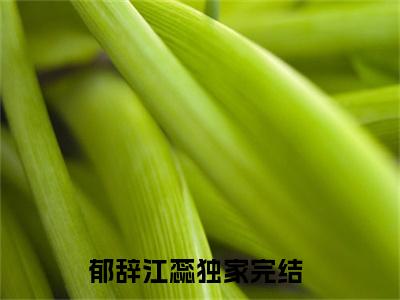郁辞江蕊小说完整版全文在线赏析-完结版小说（郁辞江蕊）