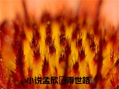 孟欣玥秦世路小说讲的是什么-孟欣玥秦世路精彩章节目录观看