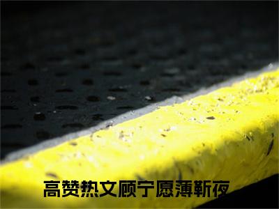 言情小说榜单顾宁愿薄靳夜阅读全文（顾宁愿薄靳夜）-顾宁愿薄靳夜完整版免费小说