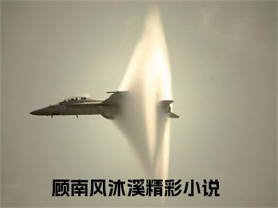 顾南风沐溪小说全文免费阅读最新章节_顾南风沐溪（顾南风沐溪）免费观看完结版_笔趣阁