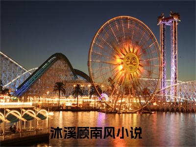 沐溪顾南风全文最新章节（沐溪顾南风）全文免费阅读无弹窗大结局_沐溪顾南风免费阅读（沐溪顾南风全文）