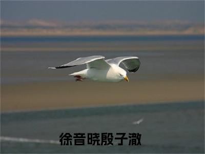 徐音晓殷子澈（徐音晓殷子澈）无广告免费阅读-徐音晓殷子澈小说最后结局如何