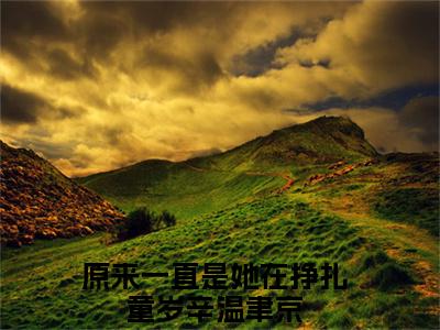 童岁辛温聿京免费阅读（原来一直是她在挣扎）全文免费阅读无弹窗大结局_童岁辛温聿京免费阅读最新章节列表_笔趣阁（原来一直是她在挣扎）