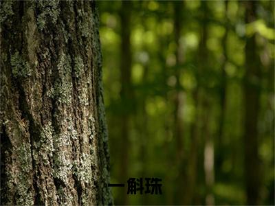 一斛珠知乎小说全文免费阅读_（一斛珠）郗屹湘董亚宁知乎小说最新章节列表笔趣阁