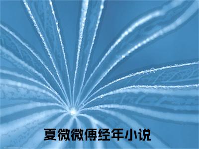 夏微微傅经年精选小说大结局阅读-新上热文小说（夏微微傅经年）讲的是什么