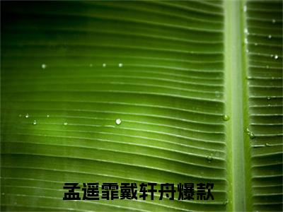 孟遥霏戴轩舟（孟遥霏戴轩舟无弹窗）全文免费阅读_（孟遥霏戴轩舟）孟遥霏戴轩舟最新章节列表_笔趣阁（孟遥霏戴轩舟）