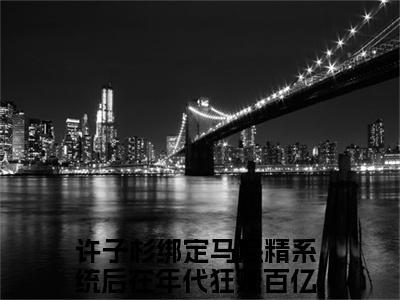 许子杉（绑定马屁精系统后在年代狂赚百亿）全文免费阅读无弹窗大结局_（许子杉全文免费阅读无弹窗）绑定马屁精系统后在年代狂赚百亿最新章节列表_笔趣阁（许子杉）