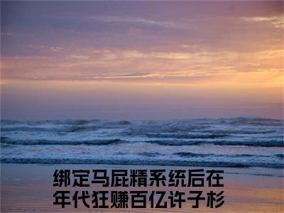 【新书】绑定马屁精系统后在年代狂赚百亿全文全章节免费阅读-许子杉 全文免费阅读无弹窗大结局