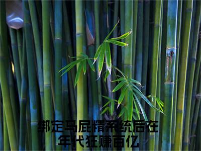绑定马屁精系统后在年代狂赚百亿抖音新书热荐小说（许子杉小说免费阅读）主角是（绑定马屁精系统后在年代狂赚百亿）全文完整版免费阅读最新章节列表_笔趣阁