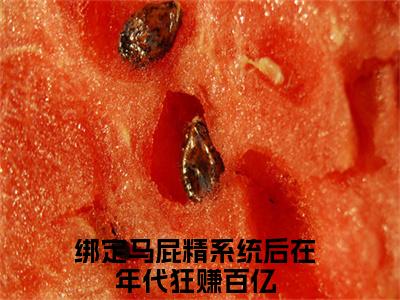 绑定马屁精系统后在年代狂赚百亿独家小说许子杉-绑定马屁精系统后在年代狂赚百亿无删版小说推荐