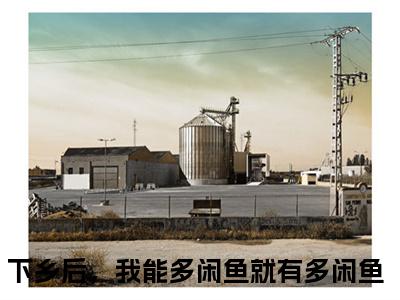 张悠悠抖音最新热点小说，下乡后，我能多闲鱼就有多闲鱼小说最新章节阅读