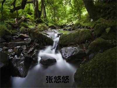 下乡后，我能多闲鱼就有多闲鱼小说全文（张悠悠）精选知乎免费小说_下乡后，我能多闲鱼就有多闲鱼小说全文最新章节列表