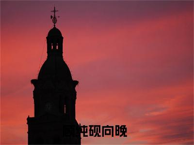 顾纯砚向晚(顾纯砚向晚)全文免费阅读无弹窗大结局_(顾纯砚向晚)免费阅读无弹窗最新章节列表