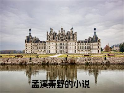 热度超高孟溪秦野小说-小说完整版全文资源阅读