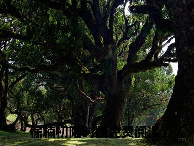 主角为徐楠初陆时颂的小说，徐楠初陆时颂免费版最新更新阅读