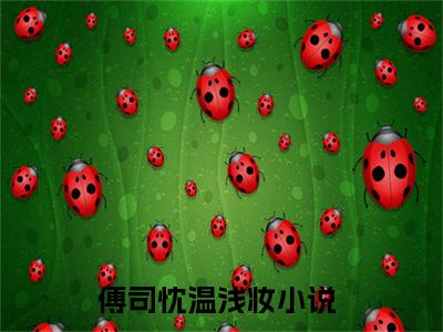 傅司忱温浅妆（傅司忱温浅妆最新全章节大结局）全文阅读