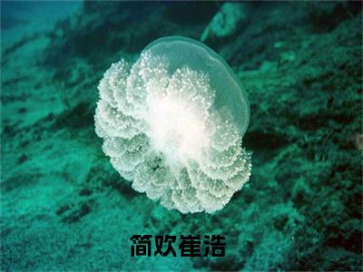 简欢崔浩小说限时免费,简欢崔浩完结版小说阅读无弹窗_笔趣阁