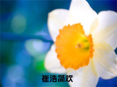 崔浩简欢（崔浩简欢）全文免费在线阅读_崔浩简欢全文免费阅读无弹窗大结局