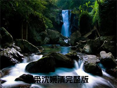 陆枭沈婉清（陆枭沈婉清）全文免费阅读大结局-陆枭沈婉清小说全文免费阅读最新章节列表