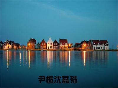 尹栀沈嘉殊小说（尹栀沈嘉殊）全文免费阅读无弹窗_尹栀沈嘉殊全文免费阅读无弹窗最新章节列表笔趣阁（尹栀沈嘉殊）