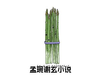 孟琬谢玄小说免费阅读无弹窗《孟琬谢玄》_孟琬谢玄全文阅读