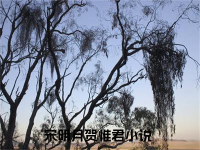 宋明月贺惟君小说免费阅读-（宋明月贺惟君）言情小说宋明月贺惟君讲的是什么