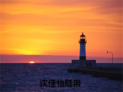 男女主人公叫沈佳怡陆枭的小说沈佳怡陆枭免费在线