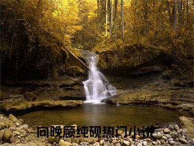 向晚顾纯砚（向晚顾纯砚）全文免费阅读无弹窗_向晚顾纯砚最新小说_笔趣阁（向晚顾纯砚）