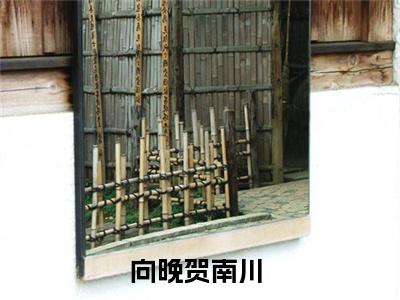 向晚贺南川《向晚贺南川小说免费阅读》完整_向晚贺南川小说（向晚贺南川）全文免费阅读大结局