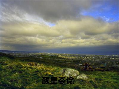 全网热搜（颜星岑谂）是什么小说,颜星岑谂免费阅读无弹窗