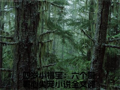 纪陌沫纪言易热门榜单小说 四岁小福宝：六个哥哥心尖宠完本小说无弹窗免费阅读