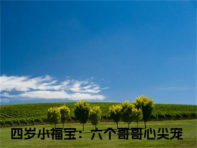 纪陌沫纪言易小说全文在线赏析 四岁小福宝：六个哥哥心尖宠小说免费阅读全文大结局