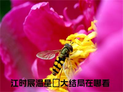 （江时宸温星姌）全文免费阅读-江时宸温星姌（全网都在嗑我和京圈太子爷的cp）最新章节列表阅读