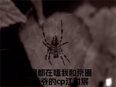 江时宸温星姌全网都在嗑我和京圈太子爷的cp全文免费完整版,江时宸温星姌最新章节完整版阅读