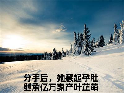 分手后，她藏起孕肚继承亿万家产(叶芷萌厉行渊)全文免费读无弹窗大结局_叶芷萌厉行渊免费小说分手后，她藏起孕肚继承亿万家产读无弹窗最新章节列表_笔趣阁（叶芷萌厉行渊）