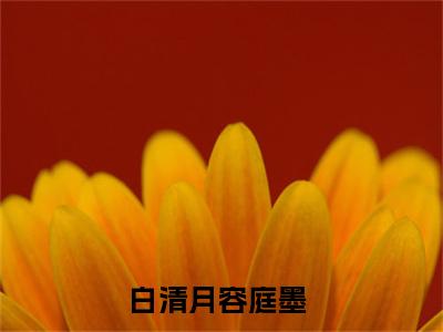 白清月容庭墨全集小说完整版大结局_白清月容庭墨完结版在线阅读