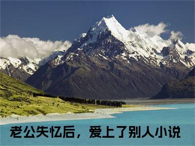 老公失忆后，爱上了别人小说楚晗清纪洵阳（已完结小说全集完整版大结局）老公失忆后，爱上了别人小说全文阅读笔趣阁