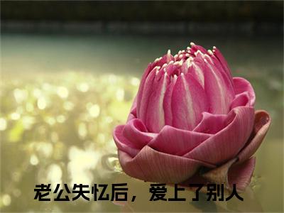 老公失忆后，爱上了别人（楚晗清纪洵阳）全文在线阅读无弹窗大结局_(楚晗清纪洵阳老公失忆后，爱上了别人免费阅读全文大结局)最新章节列表_笔趣阁（楚晗清纪洵阳）