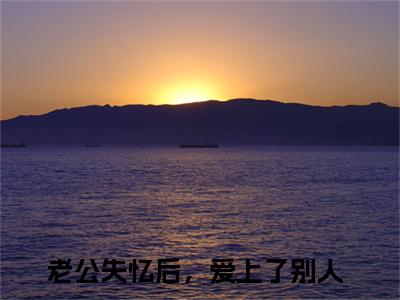 楚晗清纪洵阳最新章节，楚晗清纪洵阳今日热议小说完本阅读