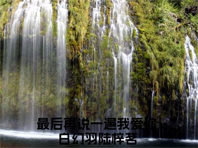 白幻羽陆梓茗「精彩小说」无弹窗阅读 最后再说一遍我爱你大结局阅读