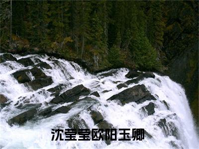末世大佬携空间穿越成流放王妃（沈莹莹欧阳玉卿小说）全文免费阅读无弹窗大结局_末世大佬携空间穿越成流放王妃完整版小说阅读（沈莹莹欧阳玉卿小说）