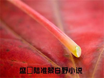 盛環陆准黎白野小说免费阅读-精选盛環陆准黎白野小说大结局阅读