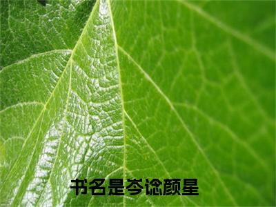 岑谂颜星全文小说全章节阅读