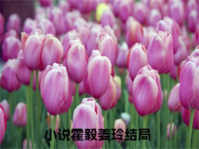 免费小说（霍毅姜玲）全文无弹窗阅读 霍毅姜玲大结局免费阅读无弹窗