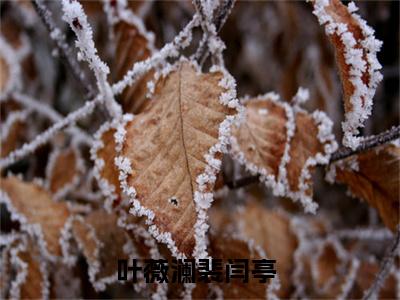 叶薇澜裴闫亭(叶薇澜裴闫亭)全文免费阅读无弹窗大结局_叶薇澜裴闫亭无弹窗最新章节列表_笔趣阁