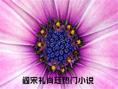 阎宋礼肖珏无删版小说阅读-阎宋礼肖珏全文无弹窗试读