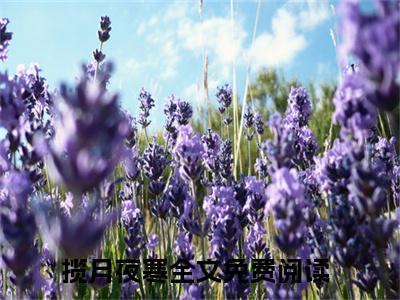 揽月夜寒小说免费大结局揽月夜寒里全文免费阅读