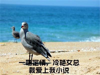 林雪叶风（一吻定情，冷艳女总裁爱上我小说）全文免费阅读无弹窗大结局_(一吻定情，冷艳女总裁爱上我小说)林雪叶风最新章节列表_笔趣阁（一吻定情，冷艳女总裁爱上我）